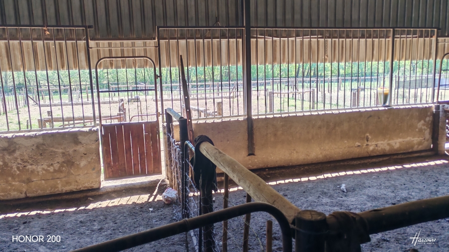 4 Bedroom Property for Sale in Middelburg Rural Eastern Cape